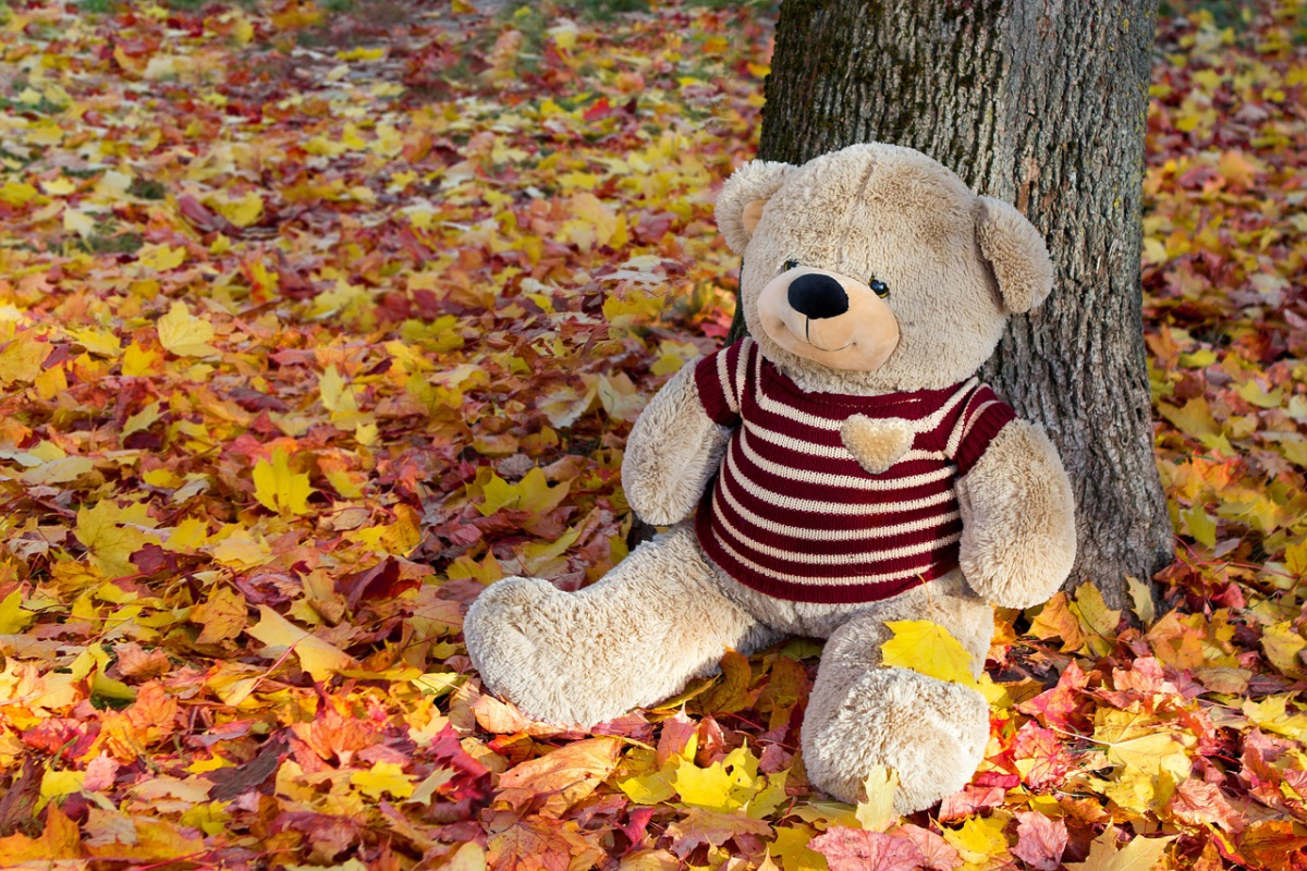 AUTOMNE 