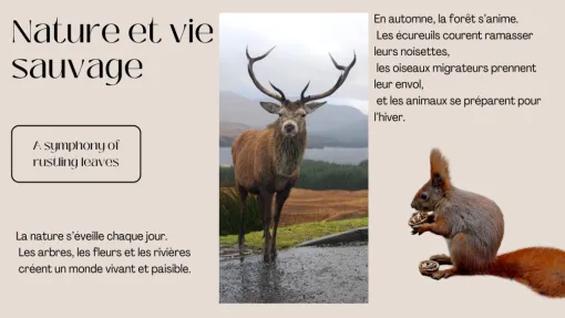 La faune de l'automne