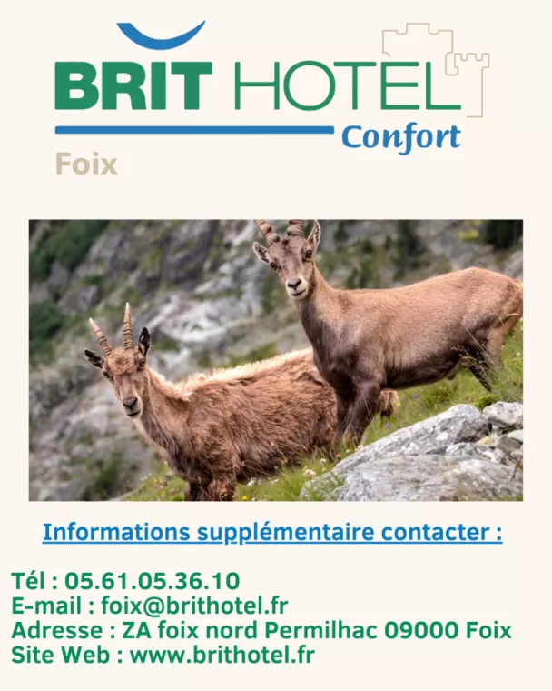 Réserver au Brit hôtel de Foix 