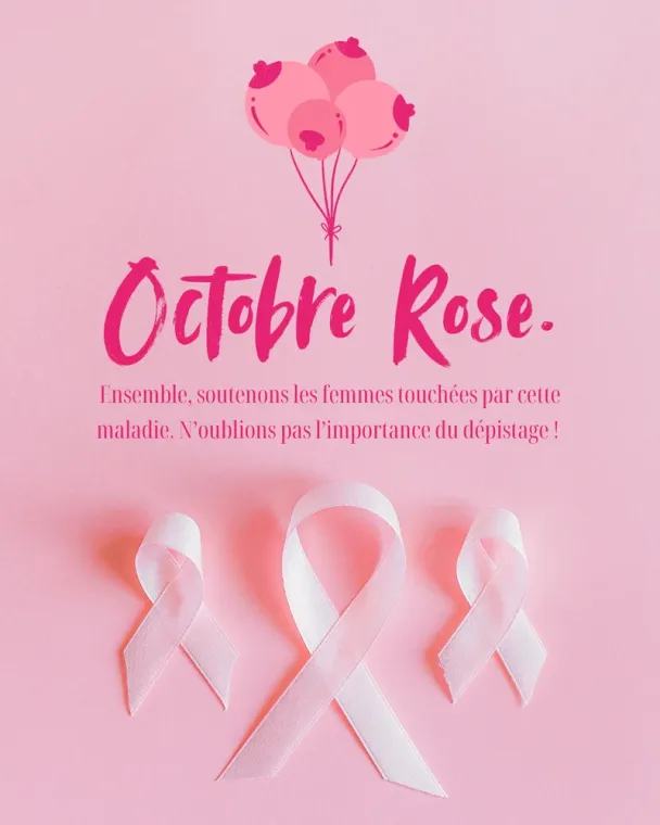 octobre rose : nous aussi au brit hotel de foix on soutiens le cancer du seins, Foix, Brit Hôtel Foix