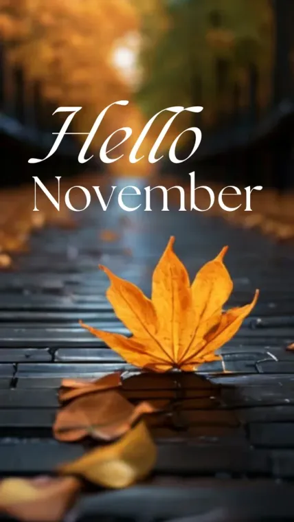 Chaleureuse et accueillante : Hello Novembre, Welcome to Foix !, Foix, Brit Hôtel Foix