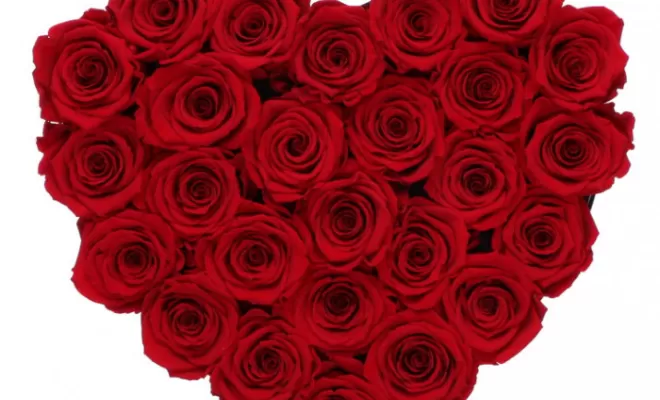 Saint Valentin au brit Hotel De Foix 