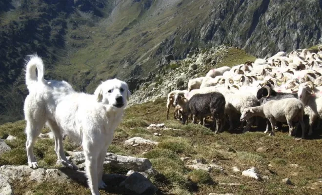 Les montagnes Ariègoises on adore !!!!!